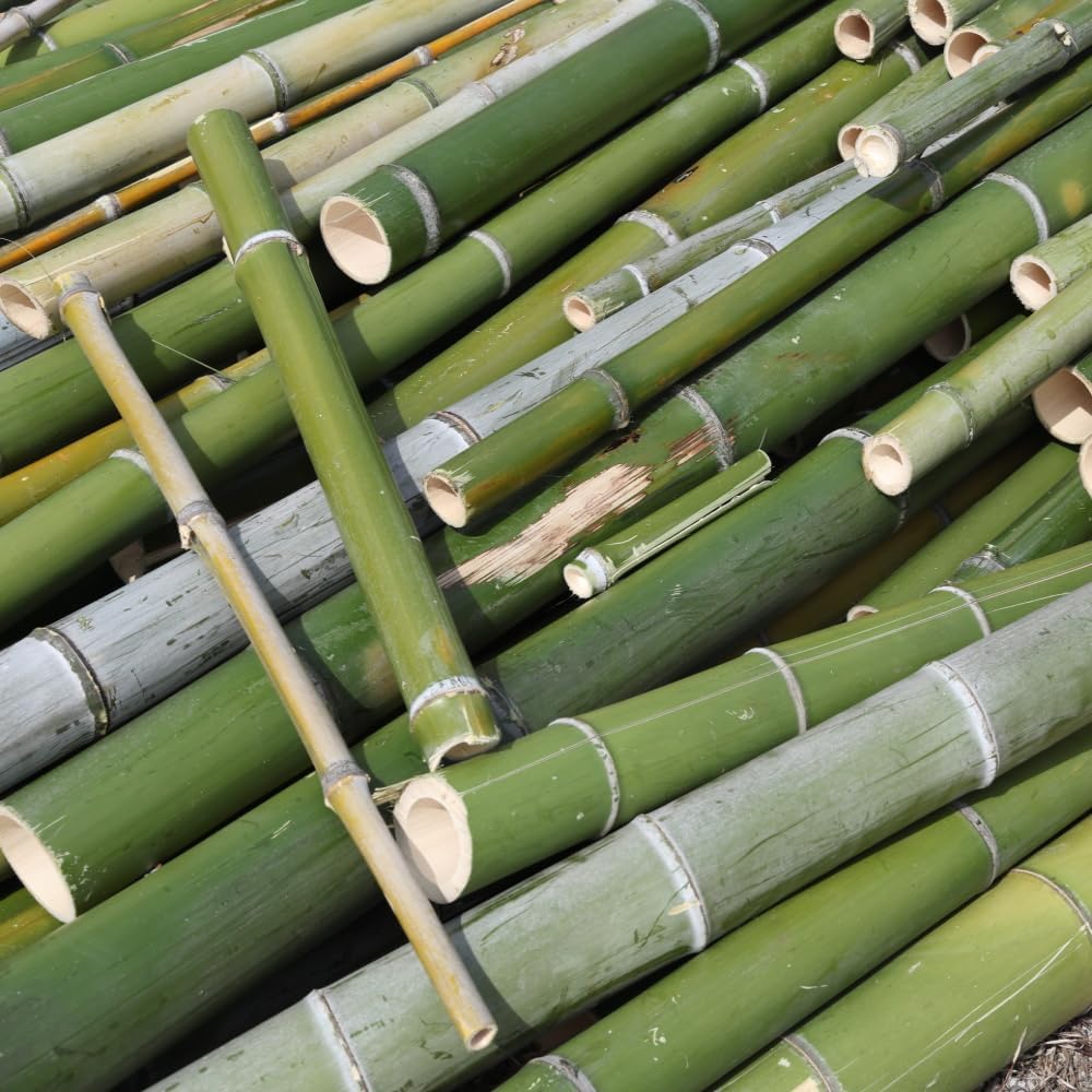 竹炭隊 国産竹炭(小粒・中粒/1kg・2kg・5kg) - 画像 (4)